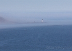 A little morning fog below us on Cape Foulweather.
